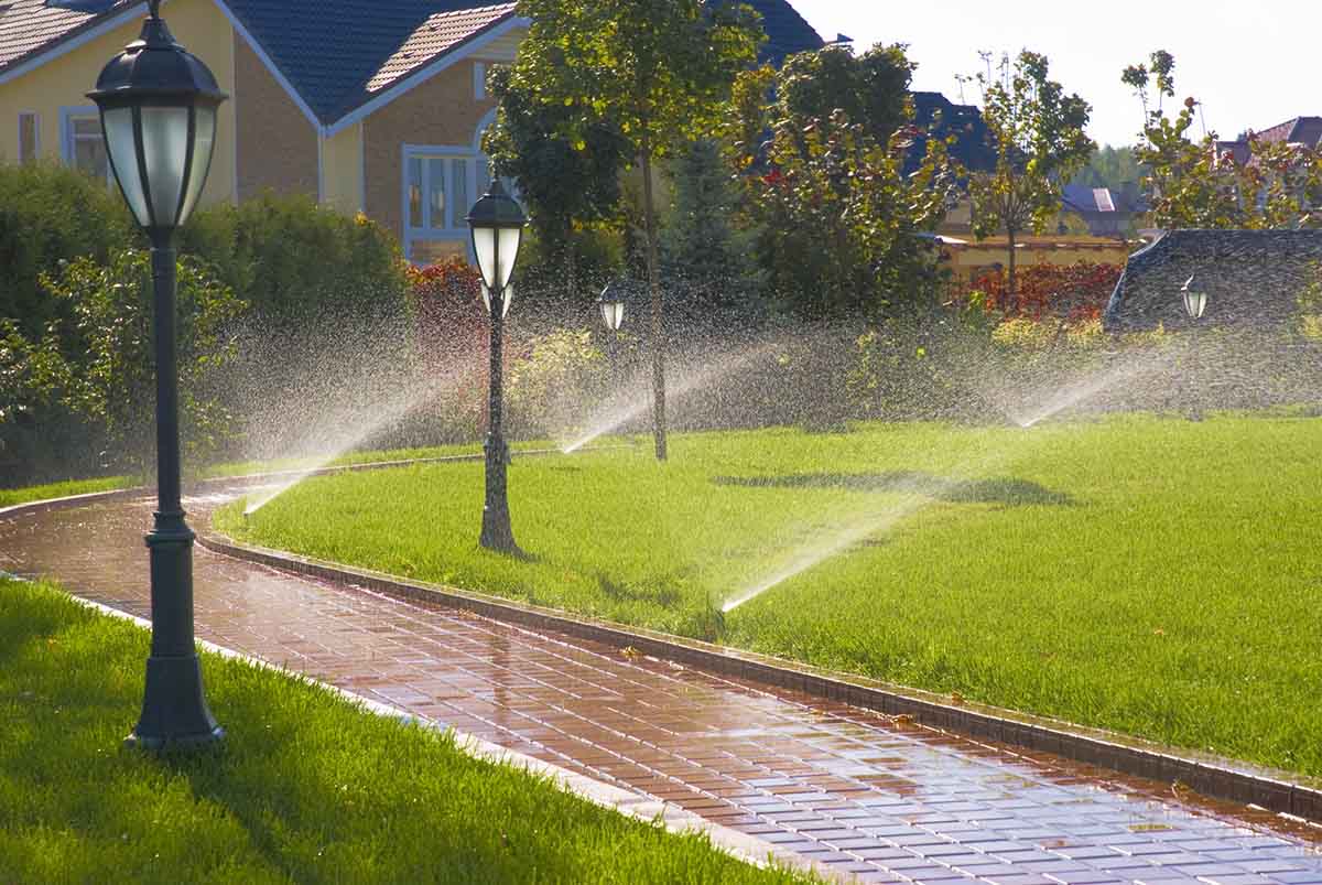 Irrigation System Installation in Ingleside project 1