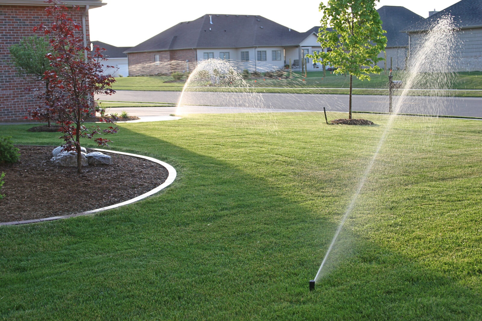Irrigation System Installation in Ingleside project 3