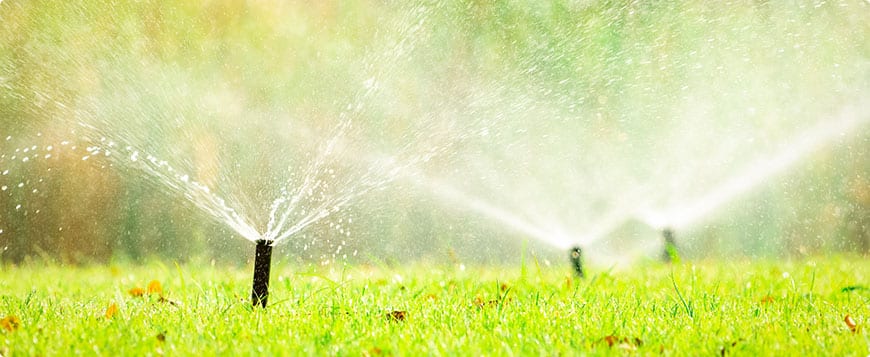 Irrigation System Installation in Ingleside project 6