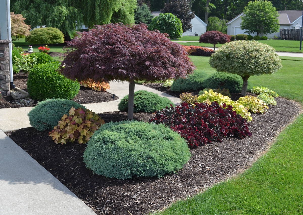 Landscape Design in Flour Bluff project 7