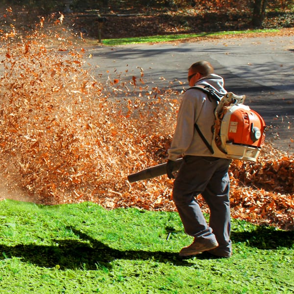 Leaf Removal in Flour Bluff project 4