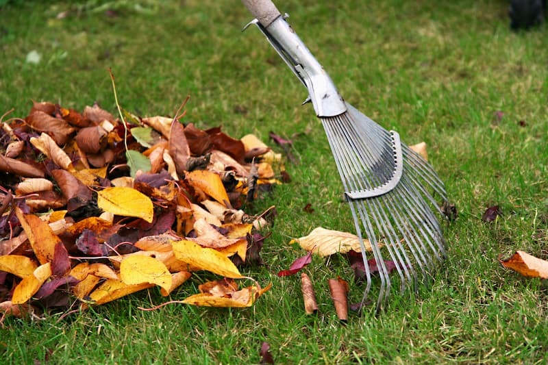 Leaf Removal in Flour Bluff project 5