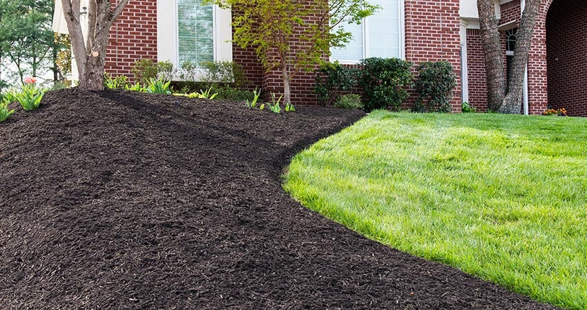 Mulch Installation in Flour Bluff project 2