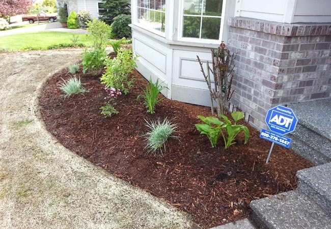 Mulch Installation in Flour Bluff project 3