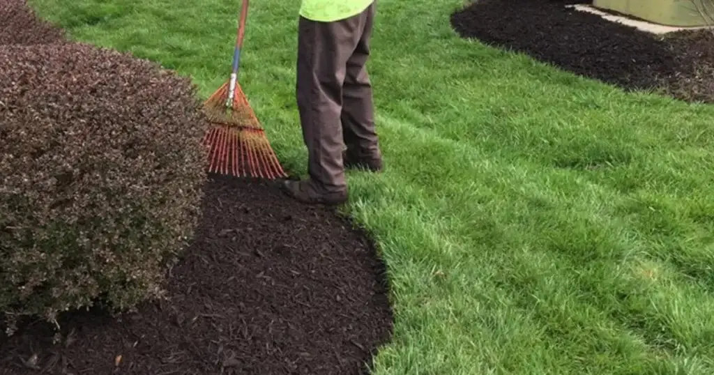 Mulch Installation in Flour Bluff project 7