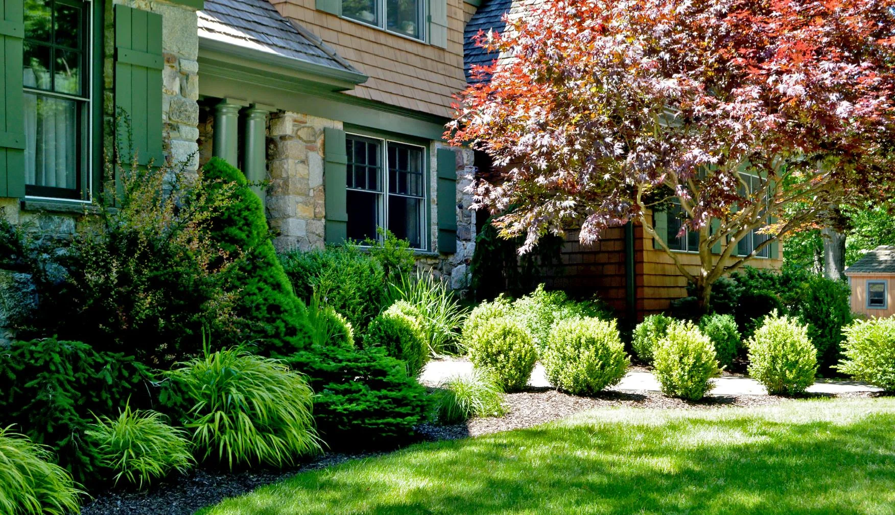 Tree & Shrub Planting in Plano project 1