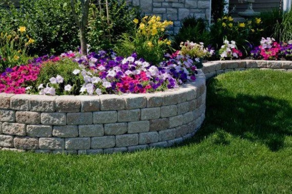 Tree & Shrub Planting in Plano project 3
