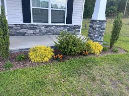 Tree & Shrub Planting in Plano project 5