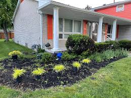 Tree & Shrub Planting in Plano project 6