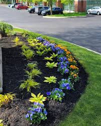 Tree & Shrub Planting in Plano project 7