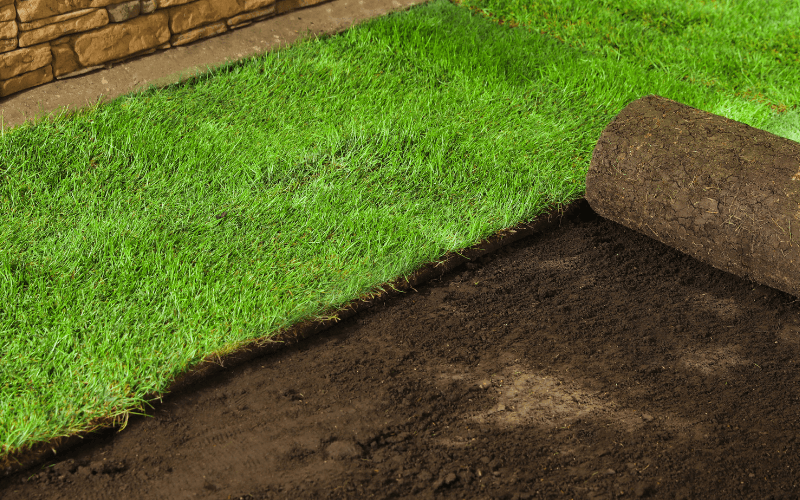 Sod Installation in Flour Bluff project 1