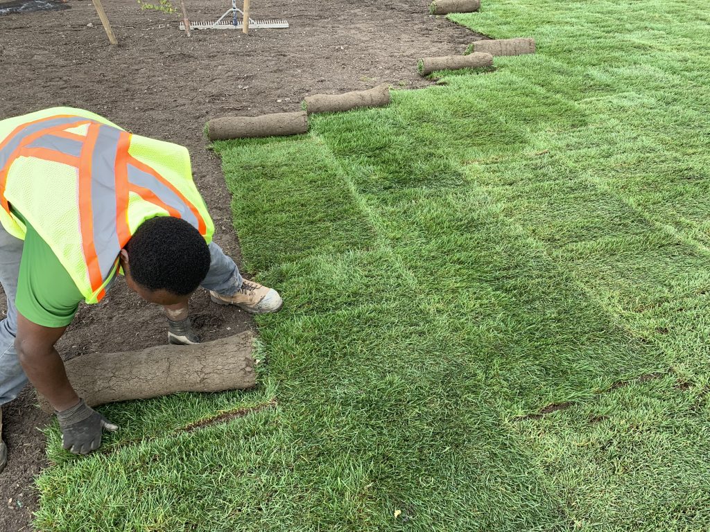 Sod Installation in Flour Bluff project 2