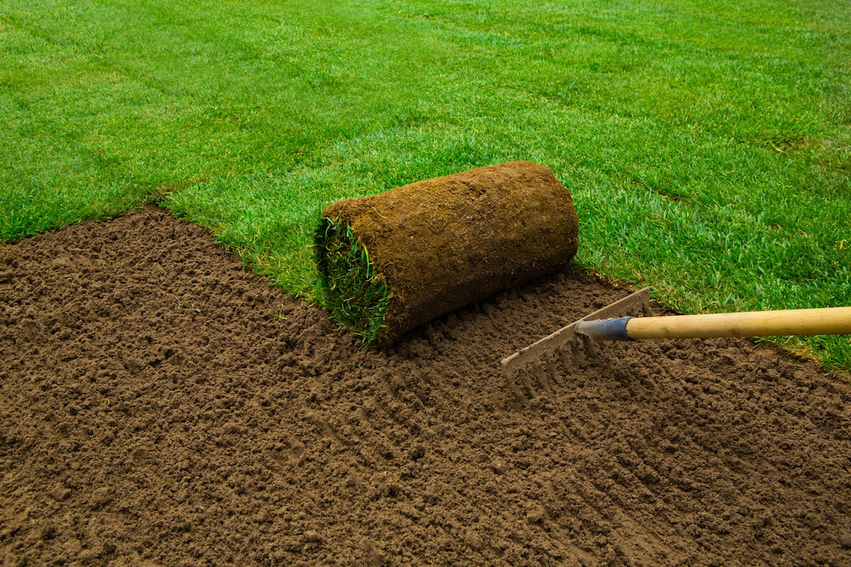 Sod Installation in Flour Bluff project 3