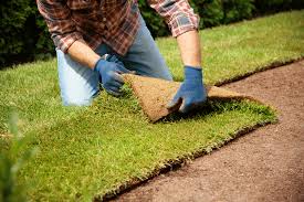 Sod Installation in Flour Bluff project 4
