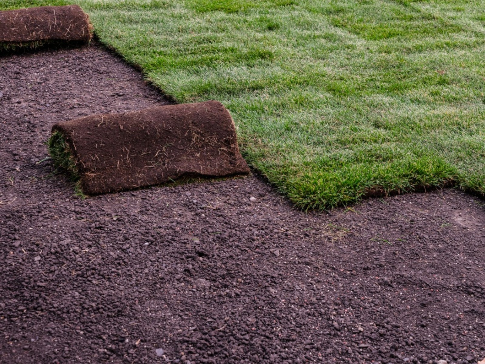Sod Installation in Flour Bluff project 6